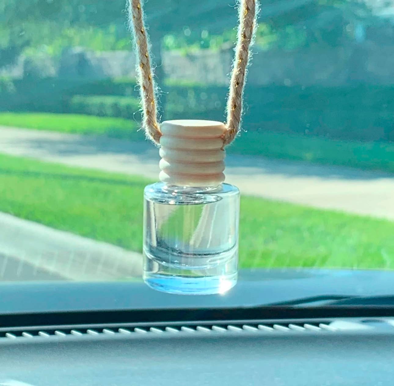 Icy Woods Hanging Car Diffuser