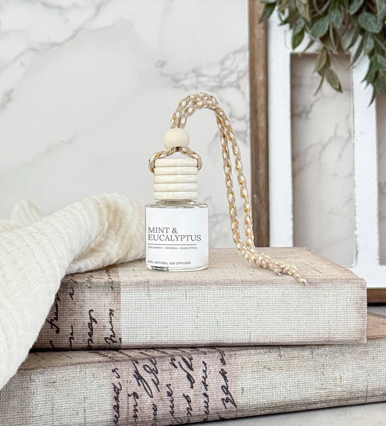 Mint & Eucalyptus Hanging Car Diffuser